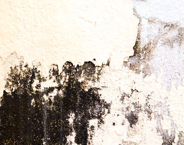 istock the concrete floor for the background 464924986