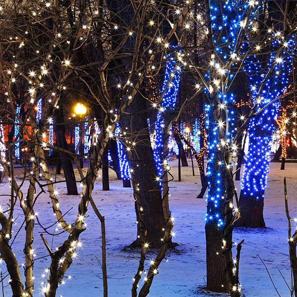 istock night illumination of Moscow boulevard 464925495