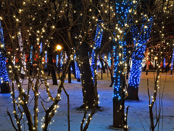 istock night illumination of Moscow boulevard 464925499