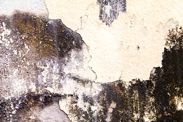 istock the concrete floor for the background 464930760