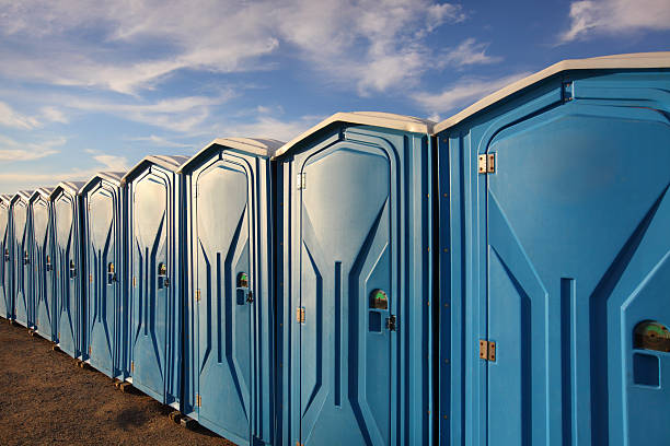 A line of several portable toilets set up in a grassy area stock photo