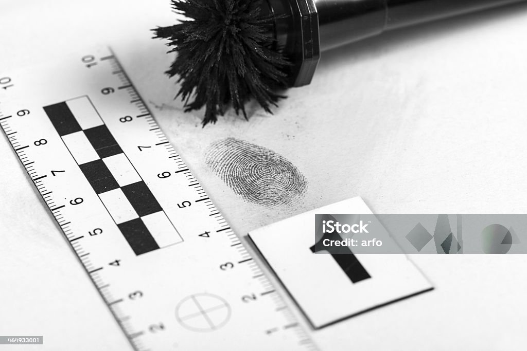 Fingerprint View of a fingerprint revealed by printing. Criminology Stock Photo