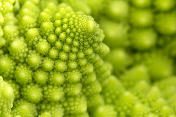 roman broccoli - romanesque broccoli cauliflower cabbage foto e immagini stock