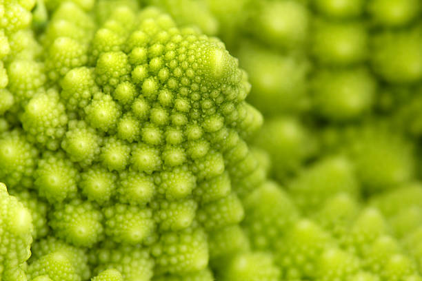 roman broccoli detail of texture of a romanesco broccoli fractal plant cabbage textured stock pictures, royalty-free photos & images