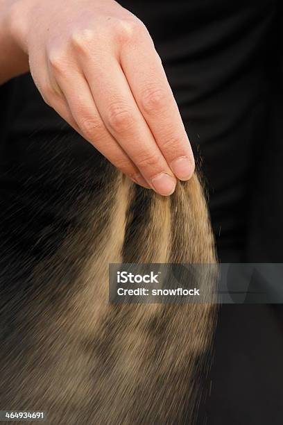 Time Runs Stock Photo - Download Image Now - Animal Body Part, Animal Hand, Beach