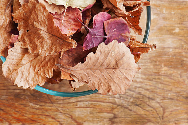 istock Oak leaves on wooden background. 464936011