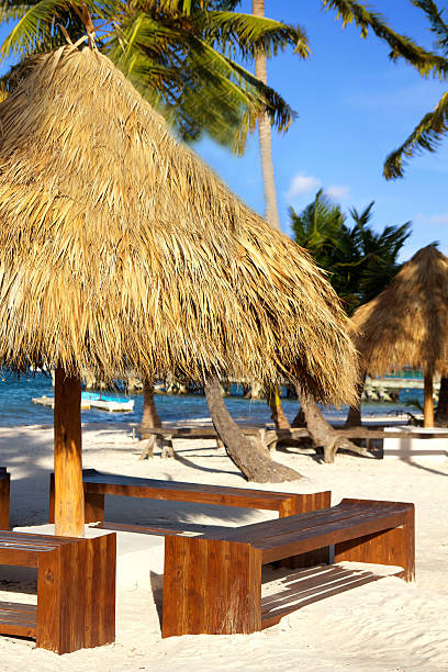 istock Grass umbrellas  on caribbean beach 464936445