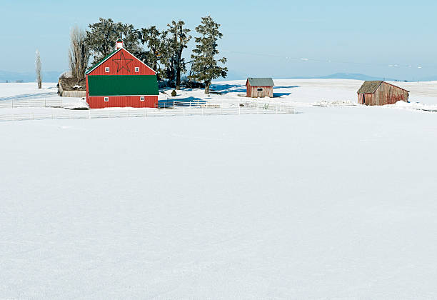 istock Snow-covered field around barn in eastern Washington 464938762