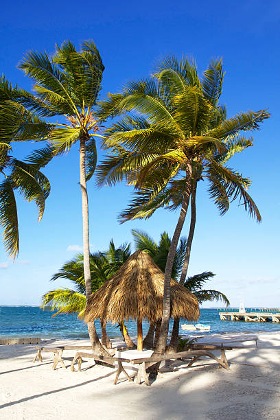 istock Grass umbrella on caribbean beach 464938991