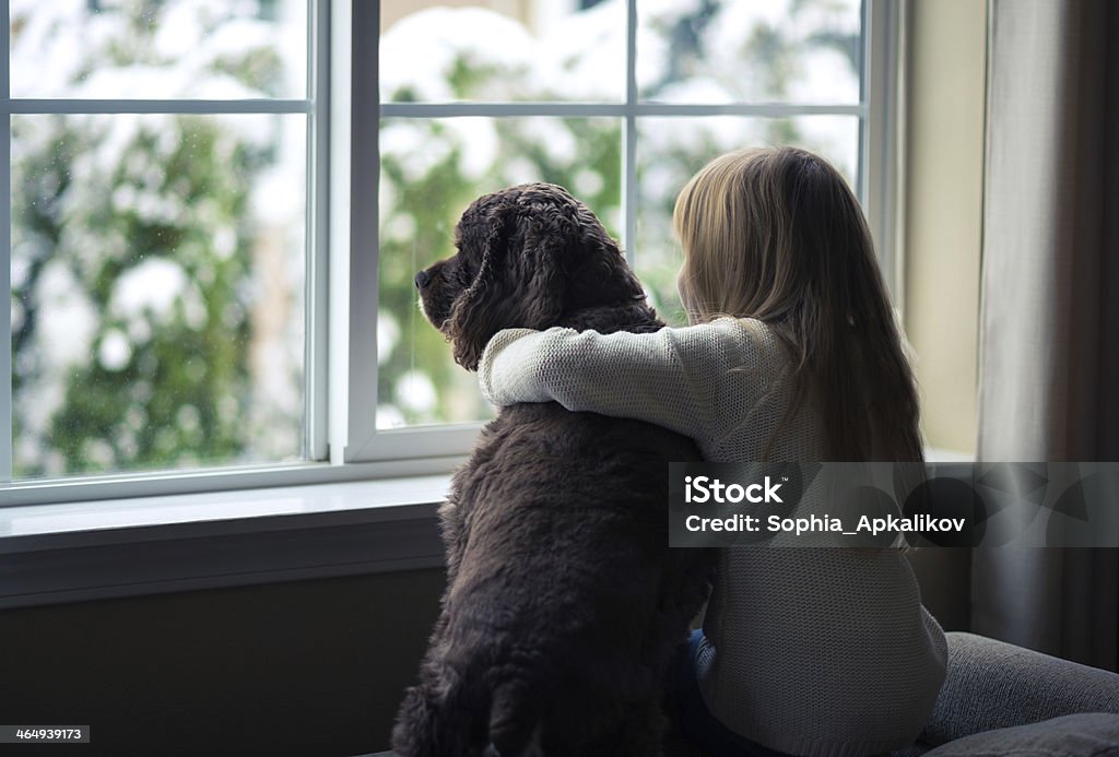 Little girl and her dog looking out the window. Looking Through Window Stock Photo