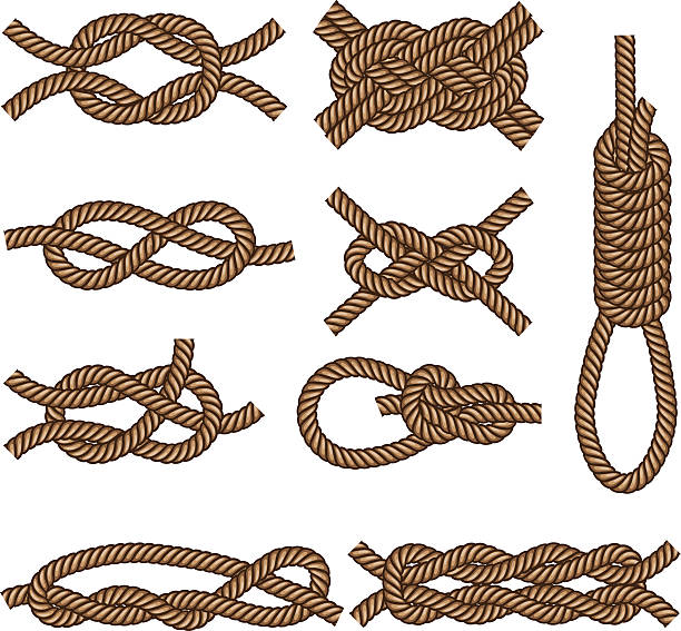 illustrations, cliparts, dessins animés et icônes de les nœuds de marin - rope frame ellipse lasso