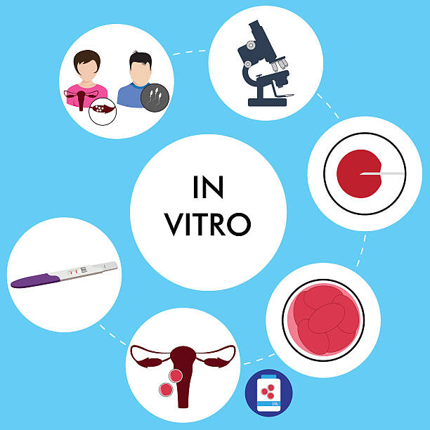 illustrazioni stock, clip art, cartoni animati e icone di tendenza di fertilizzazione in vitro - human sperm pregnancy test artificial insemination human pregnancy