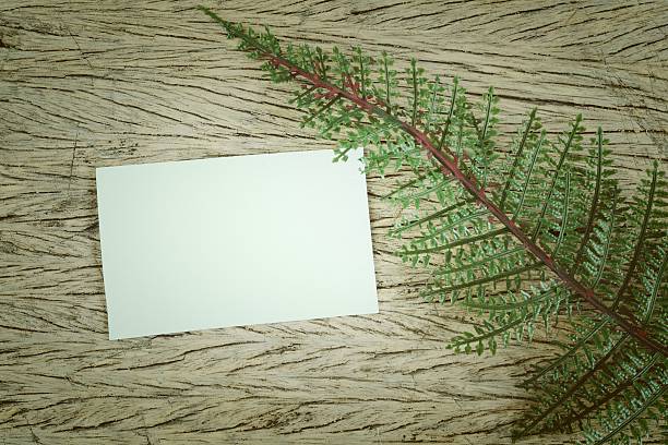 istock green leaves and blank card 464940319