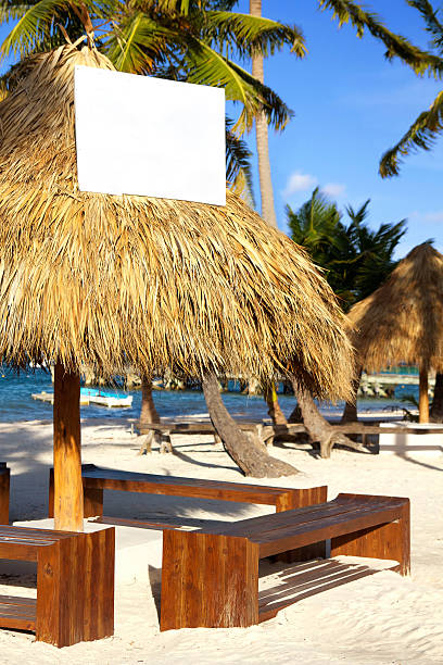 istock Grass umbrellas  on caribbean beach 464941775