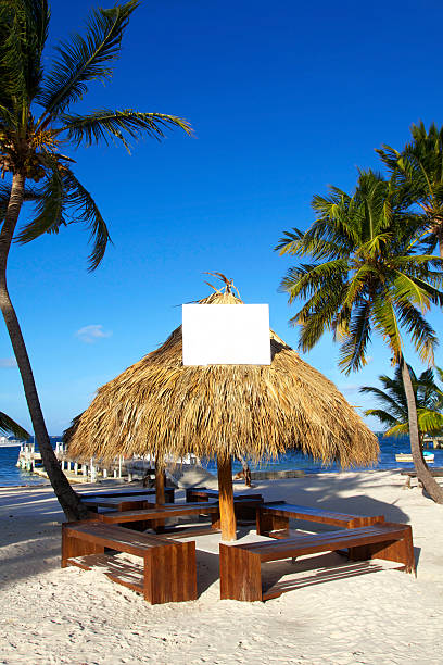 istock Grass umbrella  on caribbean beach 464942423