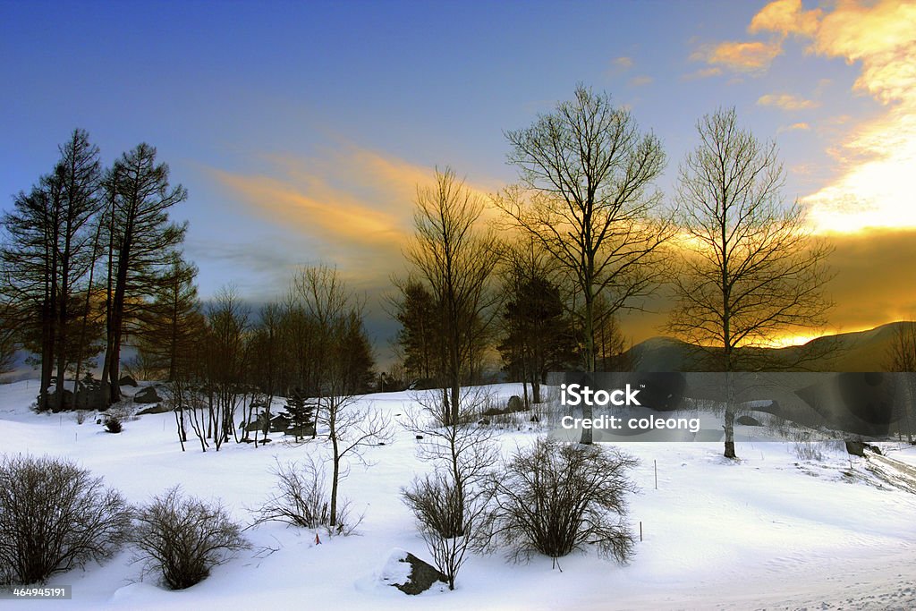 Bretton Woods, New Hampshire Winter at Bretton Woods, New Hampshire New Hampshire Stock Photo