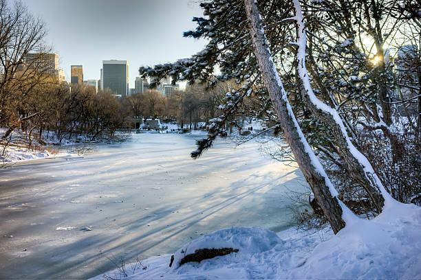 istock Central Park, New York City 464946895