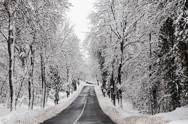 istock Rural road in winter. Trees covered by the snow 464947004