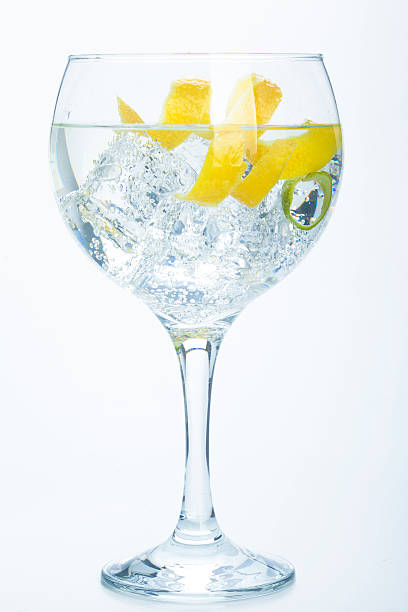 istock orange lemon and lime gin tonic isolated over white 464948921