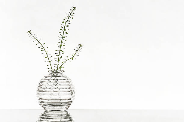 istock Glass vase on a white background 464949308