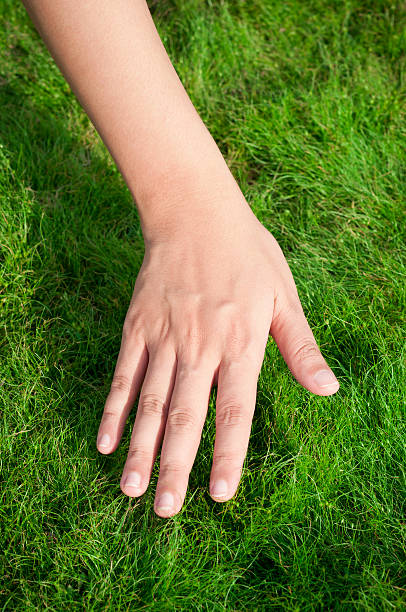 istock Woman hand over green grass 464954278