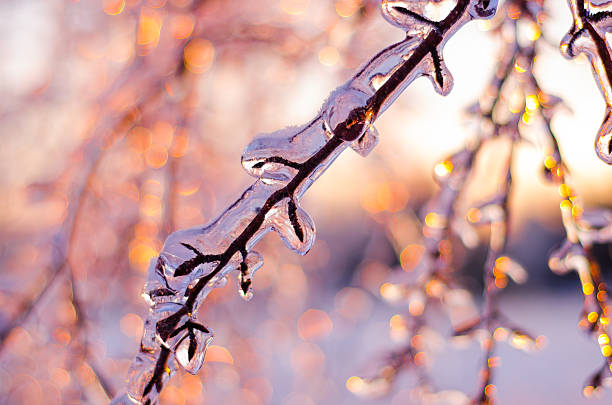 Piękna Zima scena o zachodzie słońca – zdjęcie
