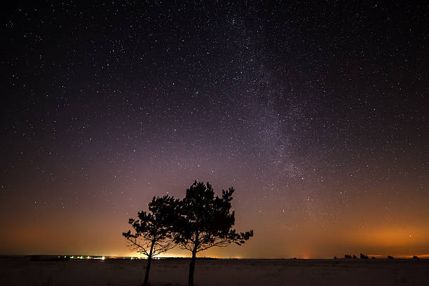 istock Two trees are growing together on the background of  starry 464964360