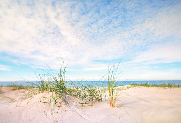 Beach by the North Sea