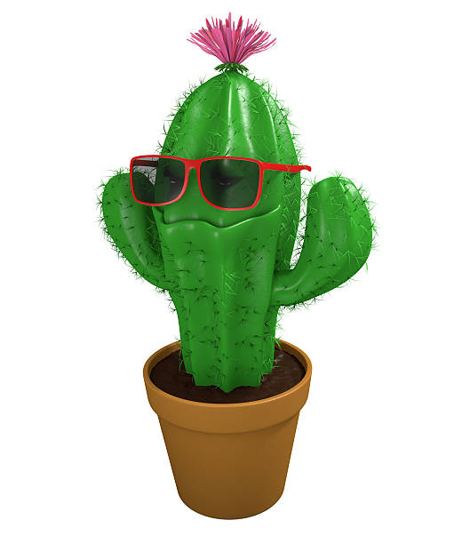 istock Cool cactus man houseplant with trendy sunglasses and big grin 464972792