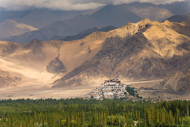 hemis gompa w leh ladakh - tibet india tibetan culture buddhism zdjęcia i obrazy z banku zdjęć