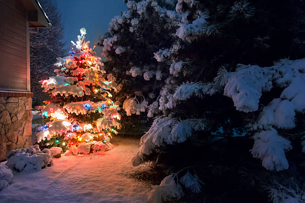 istock Brightly Lit Snow Covered Christmas Tree Outdoors At Night 464975490