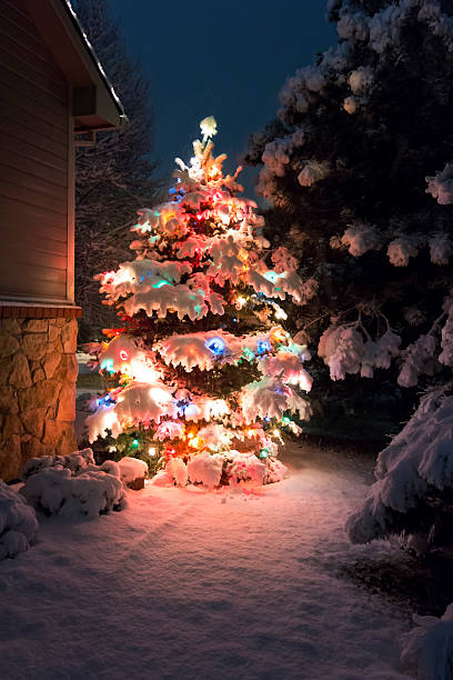 istock Brightly Lit Snow Covered Christmas Tree Outdoors At Night 464975494