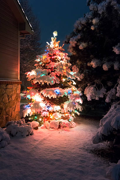 jasno oświetlony śnieg pokryte choinka na zewnątrz w nocy - vertical bright brightly lit vibrant color zdjęcia i obrazy z banku zdjęć