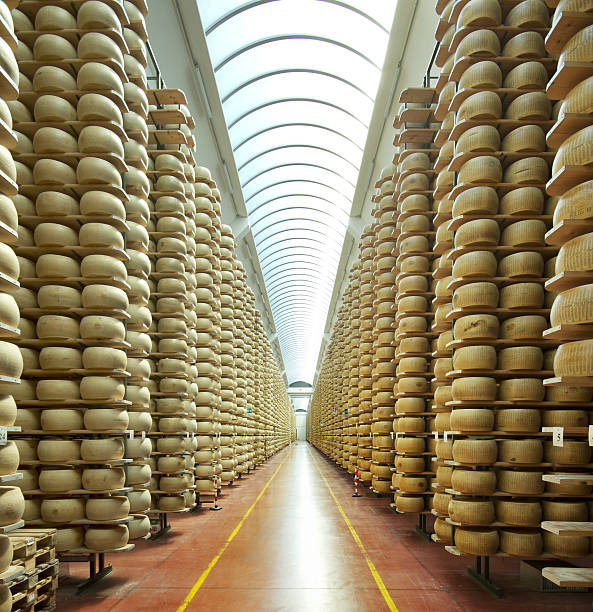 storehouse of parmesan cheese view of a maturing storehouse of parmesan cheese grana padano stock pictures, royalty-free photos & images