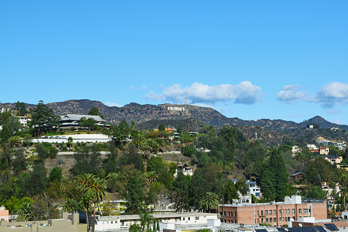 A view of the famous Hollywood Hills in Hollywood, California 