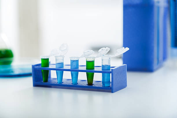 istock Micro tubes with biological samples in laboratory for DNA analys 464986666