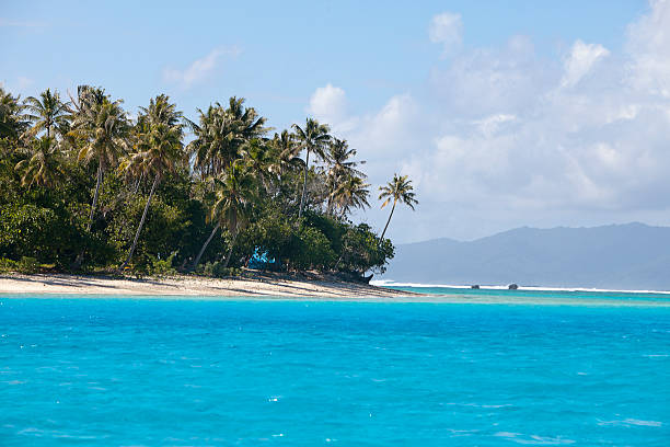 istock Tropical island with palm trees in  sea 464987276