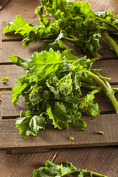 orgânico cru de brócolo rape rapini - broccoli raab imagens e fotografias de stock