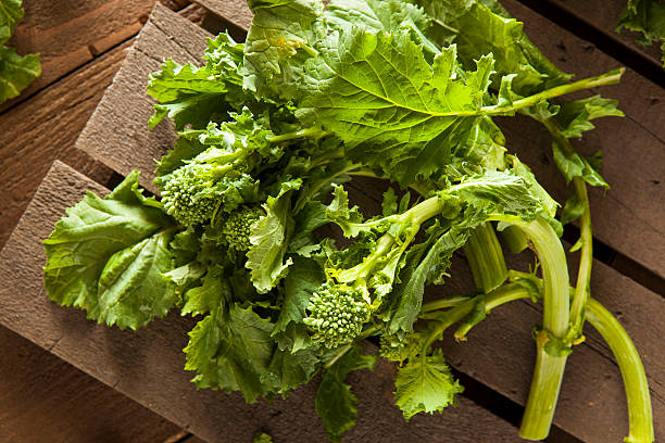 生のオーガニックグリーンブロッコリーレーブ rapini - turnip leaf vegetable green freshness ストックフォトと画像