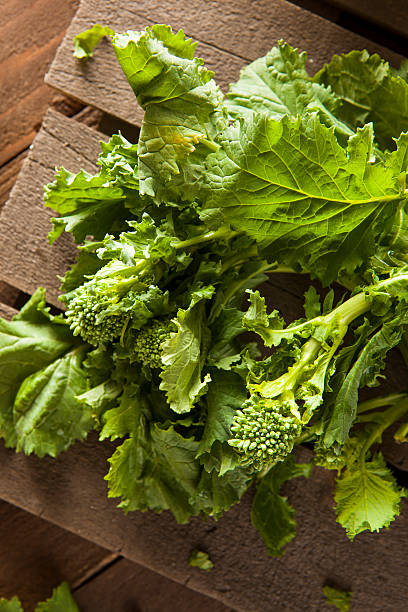 fruits bio vert brocoli rapini rapini - broccoli raab photos et images de collection