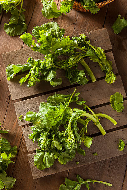 органические необработанные зеленый рапини rapini - broccoli raab стоковые фото и изображения