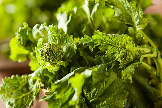 органические необработанные зеленый рапини rapini - broccoli raab стоковые фото и изображения