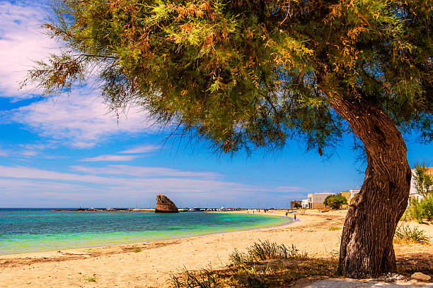 SUMMER SEASCAPE.Salento coast:Torre Pali beach (Lecce). ITALY (Apulia)