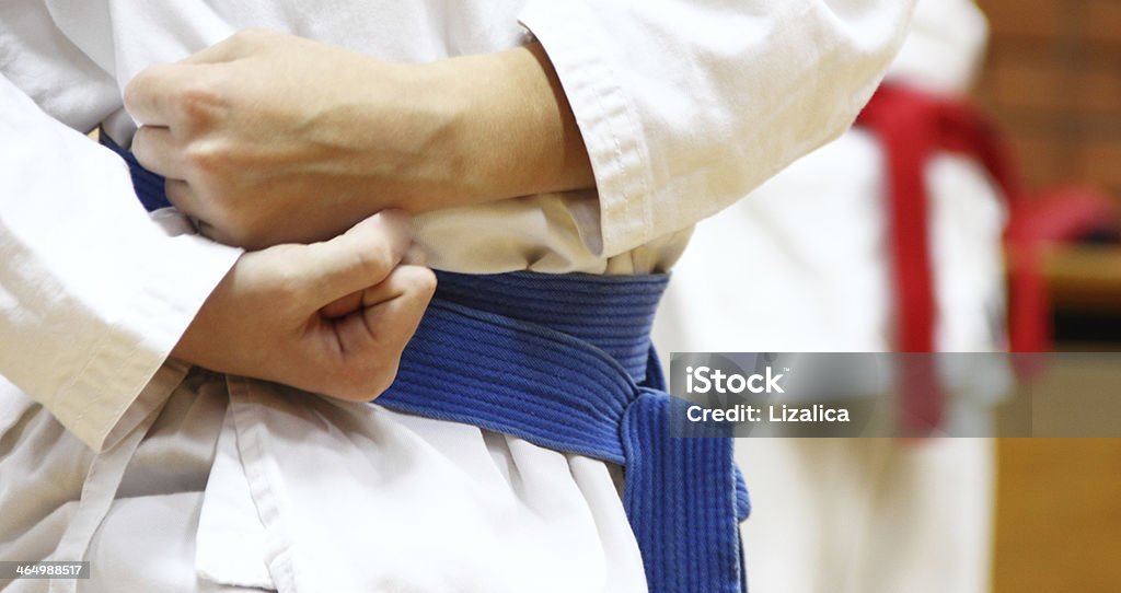 Tae Kwon Do Practicing on line Adult Stock Photo