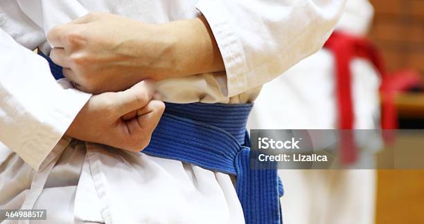 Tae Kwon Do Stock Photo - Download Image Now - Adult, Aikido, Belt