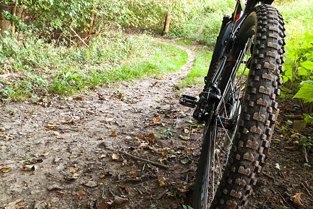 istock Mountain bike wheel 464990544