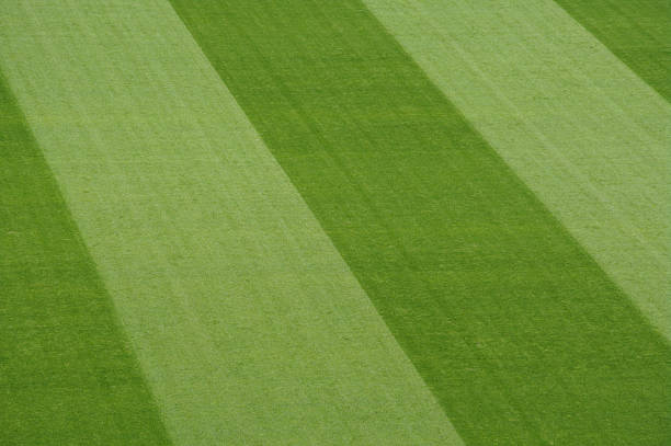 istock soccer football field markings 464990973