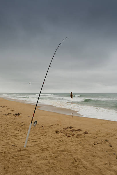istock Seaweed on fishing line 464993372