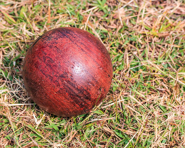A bright outdoor scene showing a colorful toy ball and scattered small plastic balls on a fresh green grass lawn symbolizing childhood play fun leisure and recreational activities in a park or garden setting ideal for family lifestyle kids entertainment education and summer outdoor concepts with wide copy space