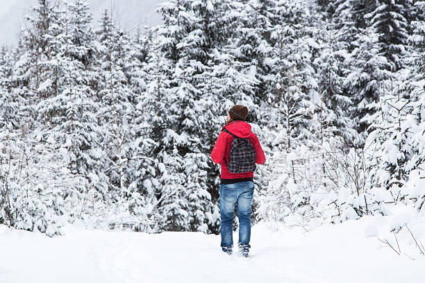 istock Young man hiking in wintry forest landscape 464996988